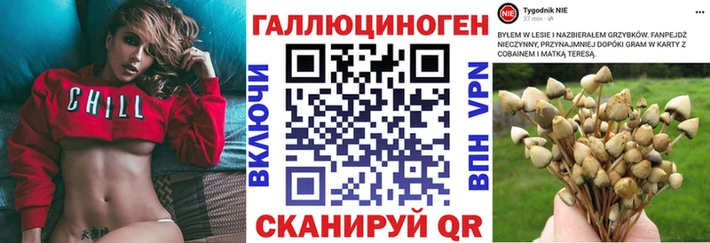 Псилоцибиновые грибы Cubensis Киселёвск