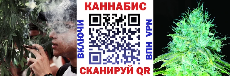 Бошки марихуана Amnesia  Киселёвск 